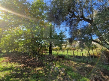 Moradia T3 para Venda em Couto de Baixo e Couto de Cima