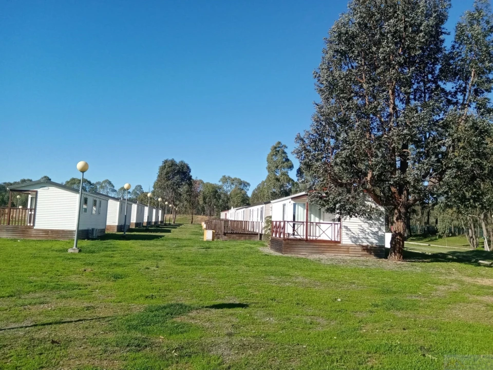 Negócio para Venda em Ourique Foto 25
