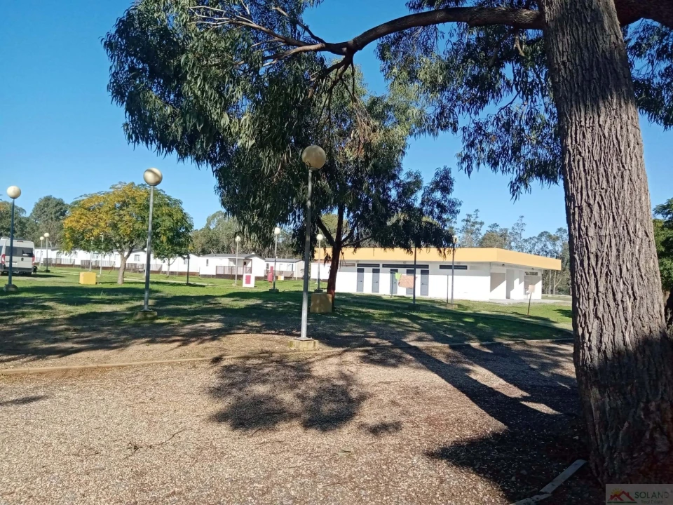 Negócio para Venda em Ourique Foto 23