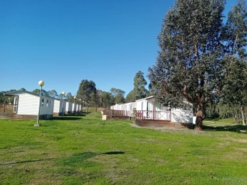 Negócio para Venda em Ourique