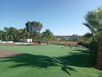 Negócio para Venda em Ourique