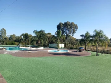 Negócio para Venda em Ourique