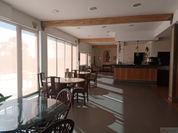 Negócio para Venda em Ourique