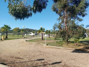 Negócio para Venda em Ourique