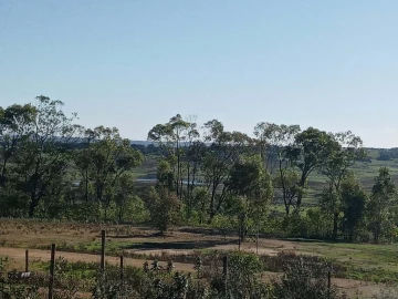 Negócio para Venda em Ourique