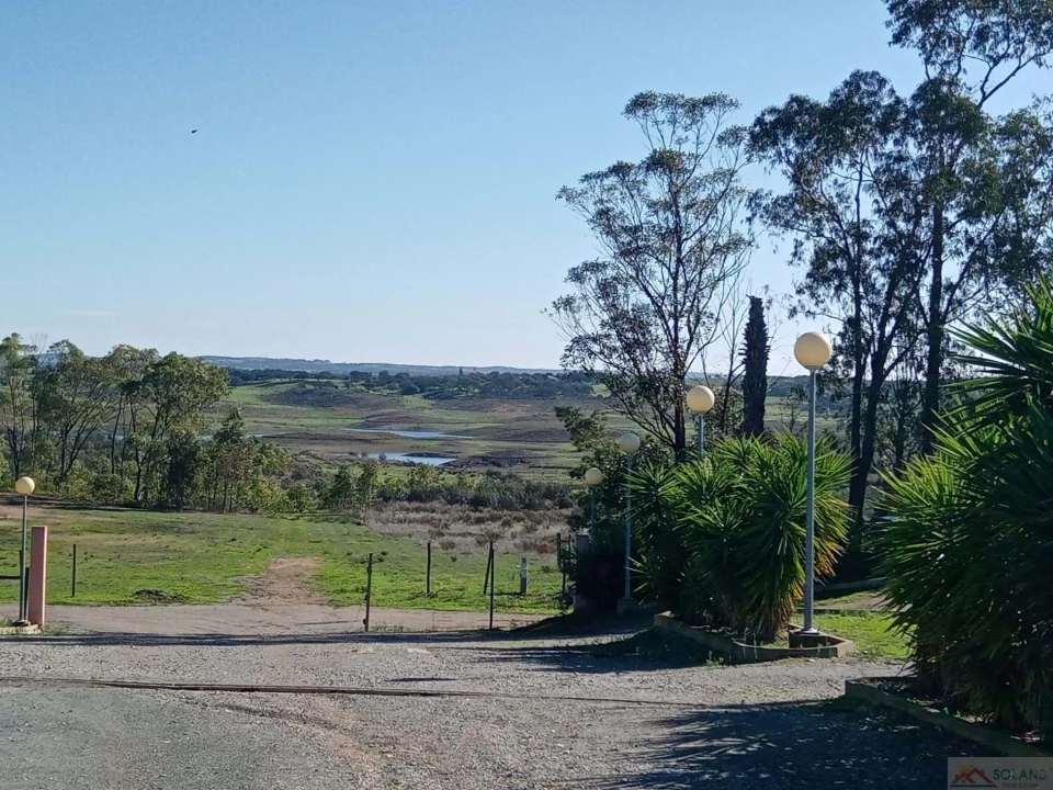 Negócio para Venda em Ourique Foto 16