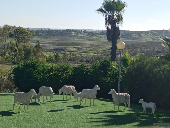 Negócio para Venda em Ourique Foto 14