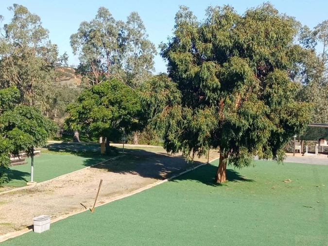 Negócio para Venda em Ourique Foto 29