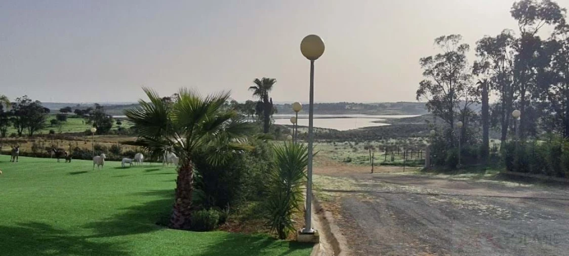 Negócio para Venda em Ourique Foto 15