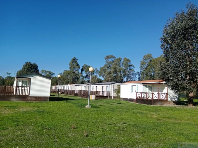 Negócio para Venda em Ourique Foto 24