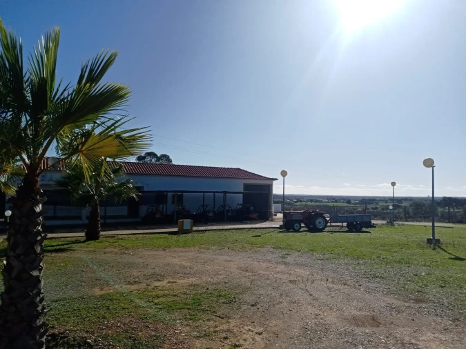 Negócio para Venda em Ourique Foto 8