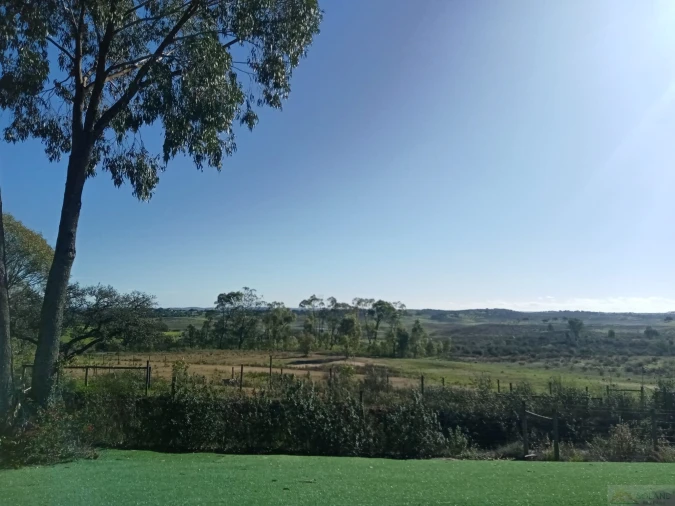 Negócio para Venda em Ourique Foto 31