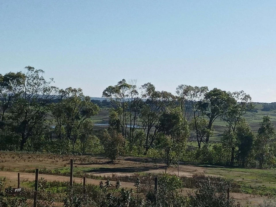 Negócio para Venda em Ourique Foto 28