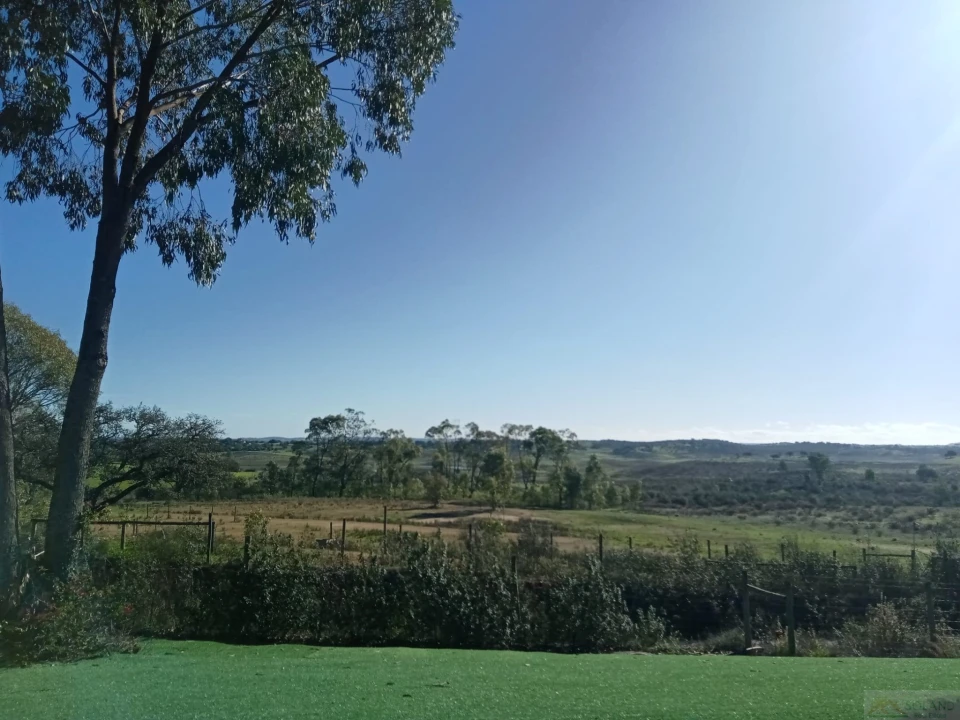 Negócio para Venda em Ourique Foto 31
