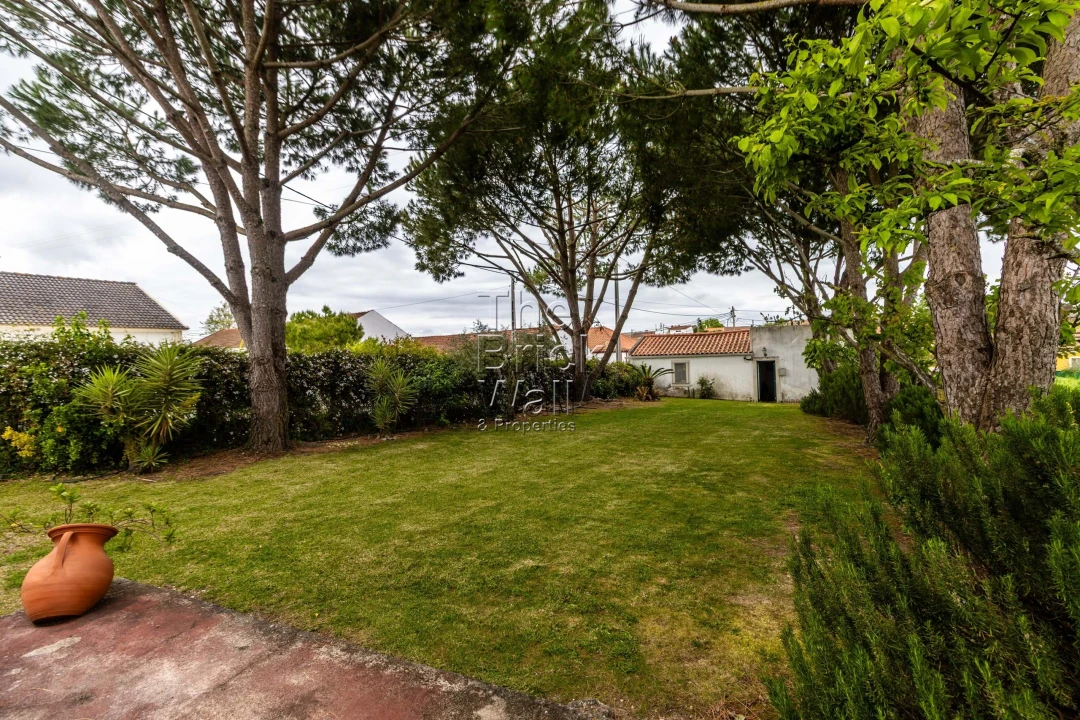 Moradia T2 para Venda em Almoster Foto 9