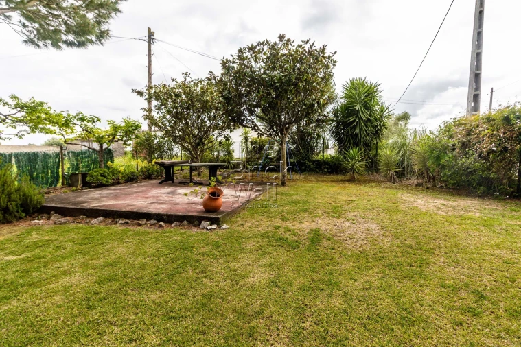 Moradia T2 para Venda em Almoster Foto 6