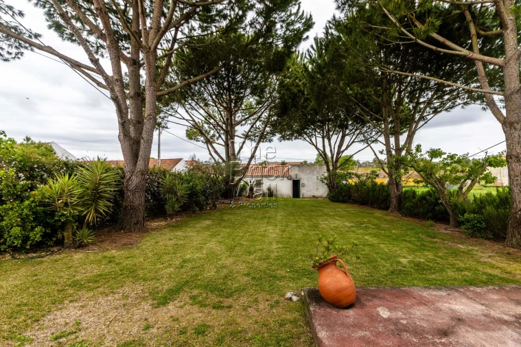 Moradia T2 para Venda em Almoster Foto 10