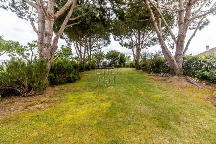 Moradia T2 para Venda em Almoster Foto 2