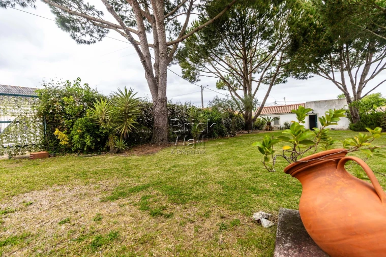 Moradia T2 para Venda em Almoster Foto 8