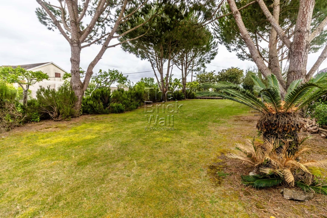 Moradia T2 para Venda em Almoster Foto 3