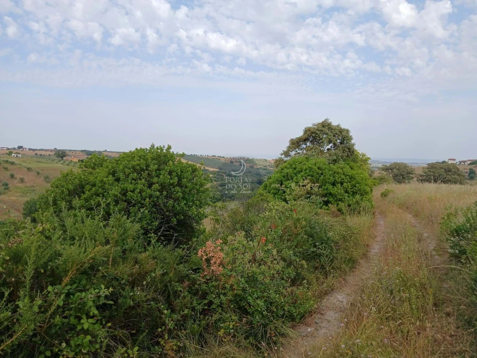 Quinta para Venda em Achete, Azoia de Baixo e Póvoa de Santarém Foto 4