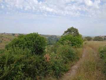 Quinta para Venda em Achete, Azoia de Baixo e Póvoa de Santarém