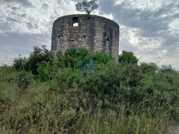 Quinta para Venda em Achete, Azoia de Baixo e Póvoa de Santarém