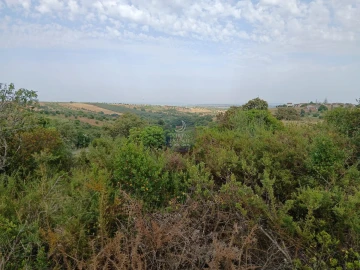 Quinta para Venda em Achete, Azoia de Baixo e Póvoa de Santarém