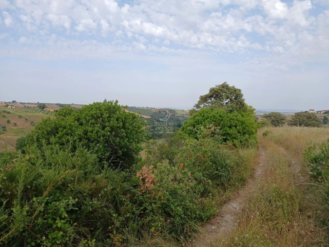 Quinta para Venda em Achete, Azoia de Baixo e Póvoa de Santarém Foto 4