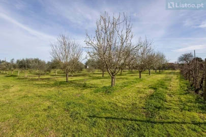 Moradia T4 para Venda em São Miguel do Rio Torto e Rossio Ao Sul do Tejo