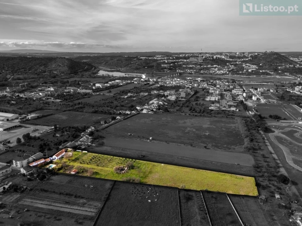 Moradia T4 para Venda em São Miguel do Rio Torto e Rossio Ao Sul do Tejo Foto 22