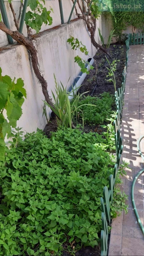 Moradia T3 para Venda em Grândola e Santa Margarida da Serra