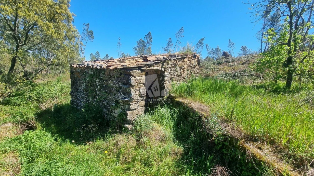 Terreno Agricola ou Rústico para Venda em Santo Andre das Tojeiras Foto 1