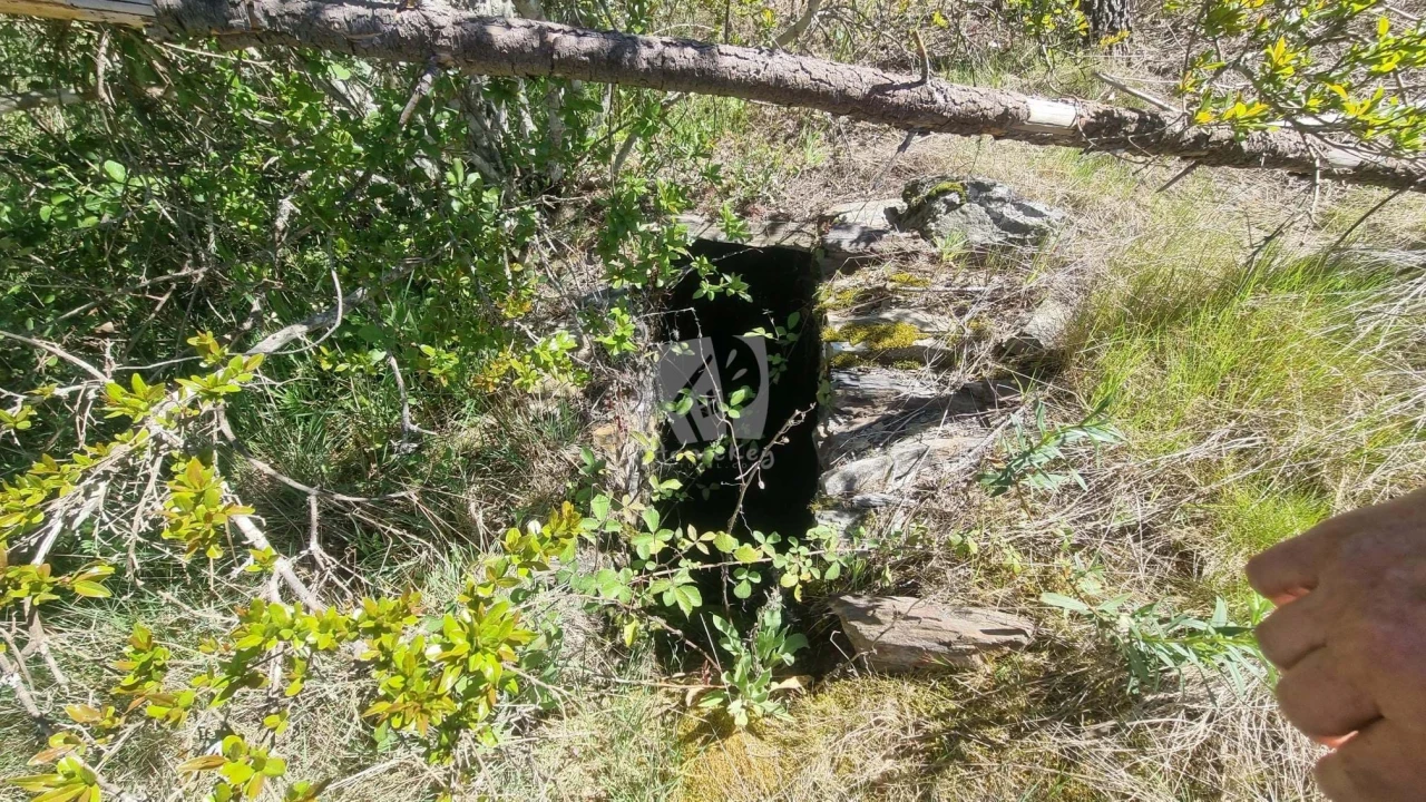 Terreno Agricola ou Rústico para Venda em Santo Andre das Tojeiras Foto 28