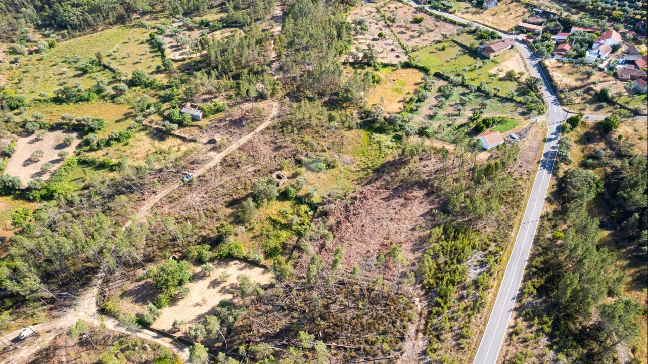 Terreno Agricola ou Rústico para Venda em Santo Andre das Tojeiras Foto 37