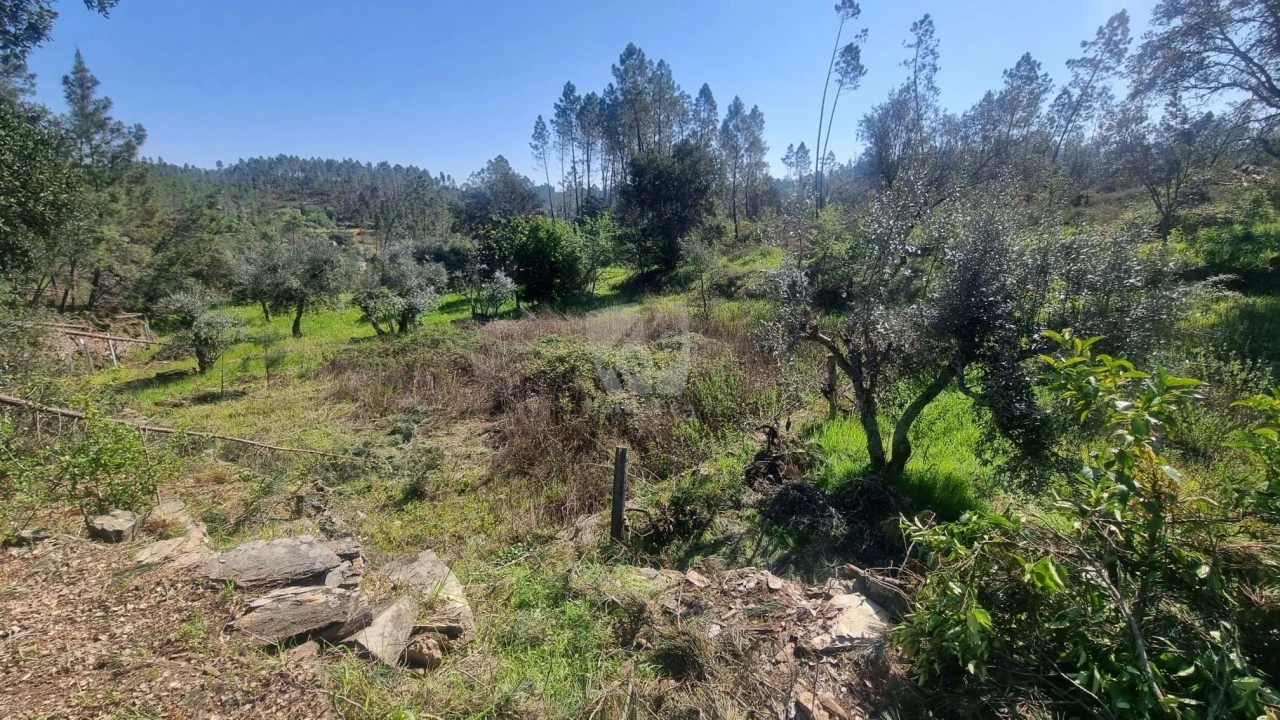 Terreno Agricola ou Rústico para Venda em Santo Andre das Tojeiras Foto 7
