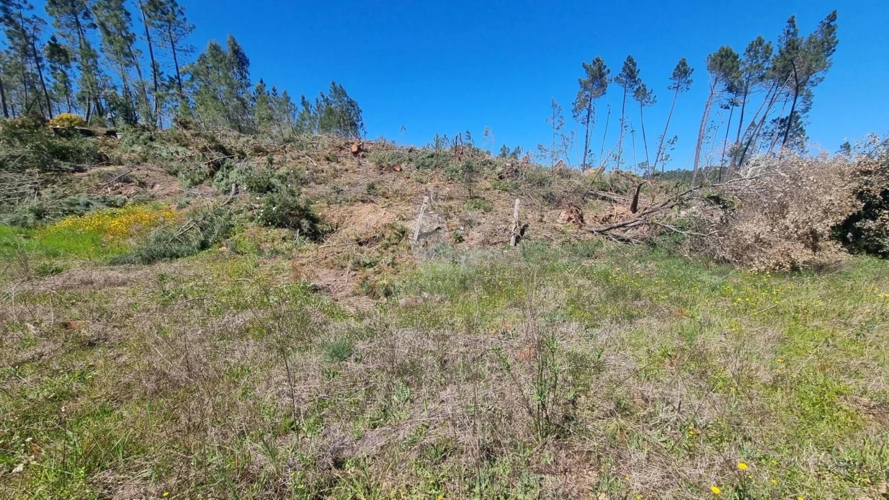 Terreno Agricola ou Rústico para Venda em Santo Andre das Tojeiras Foto 26