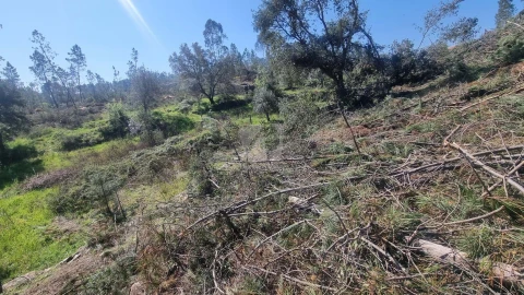 Terreno Agricola ou Rústico para Venda em Santo Andre das Tojeiras