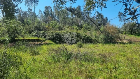 Terreno Agricola ou Rústico para Venda em Santo Andre das Tojeiras