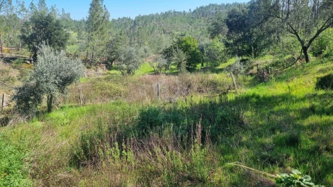 Terreno Agricola ou Rústico para Venda em Santo Andre das Tojeiras