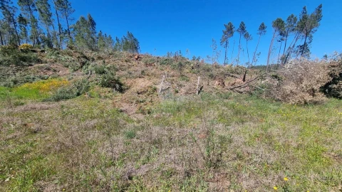 Terreno Agricola ou Rústico para Venda em Santo Andre das Tojeiras