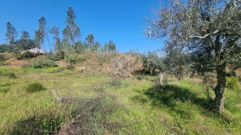 Terreno Agricola ou Rústico para Venda em Santo Andre das Tojeiras