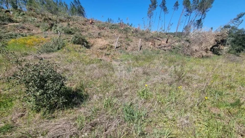 Terreno Agricola ou Rústico para Venda em Santo Andre das Tojeiras
