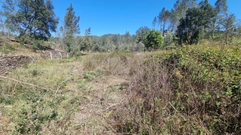 Terreno Agricola ou Rústico para Venda em Santo Andre das Tojeiras