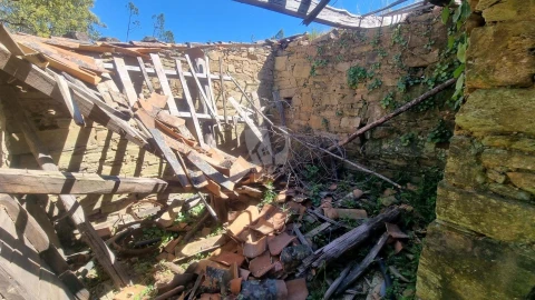 Terreno Agricola ou Rústico para Venda em Santo Andre das Tojeiras
