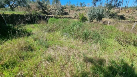 Terreno Agricola ou Rústico para Venda em Santo Andre das Tojeiras
