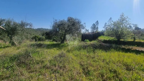 Terreno Agricola ou Rústico para Venda em Santo Andre das Tojeiras