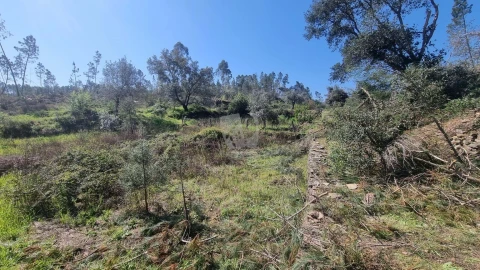 Terreno Agricola ou Rústico para Venda em Santo Andre das Tojeiras