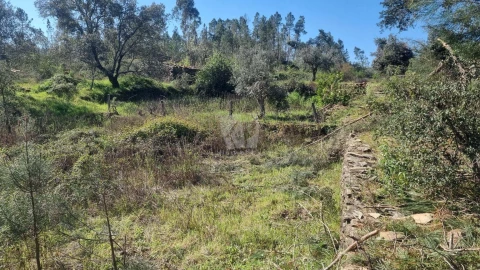 Terreno Agricola ou Rústico para Venda em Santo Andre das Tojeiras