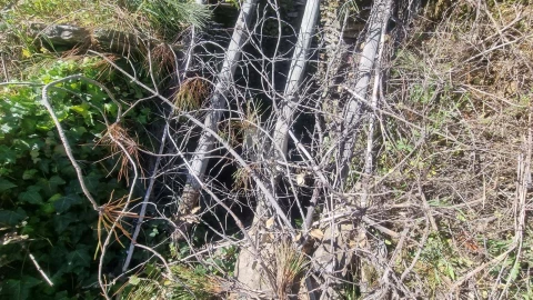 Terreno Agricola ou Rústico para Venda em Santo Andre das Tojeiras